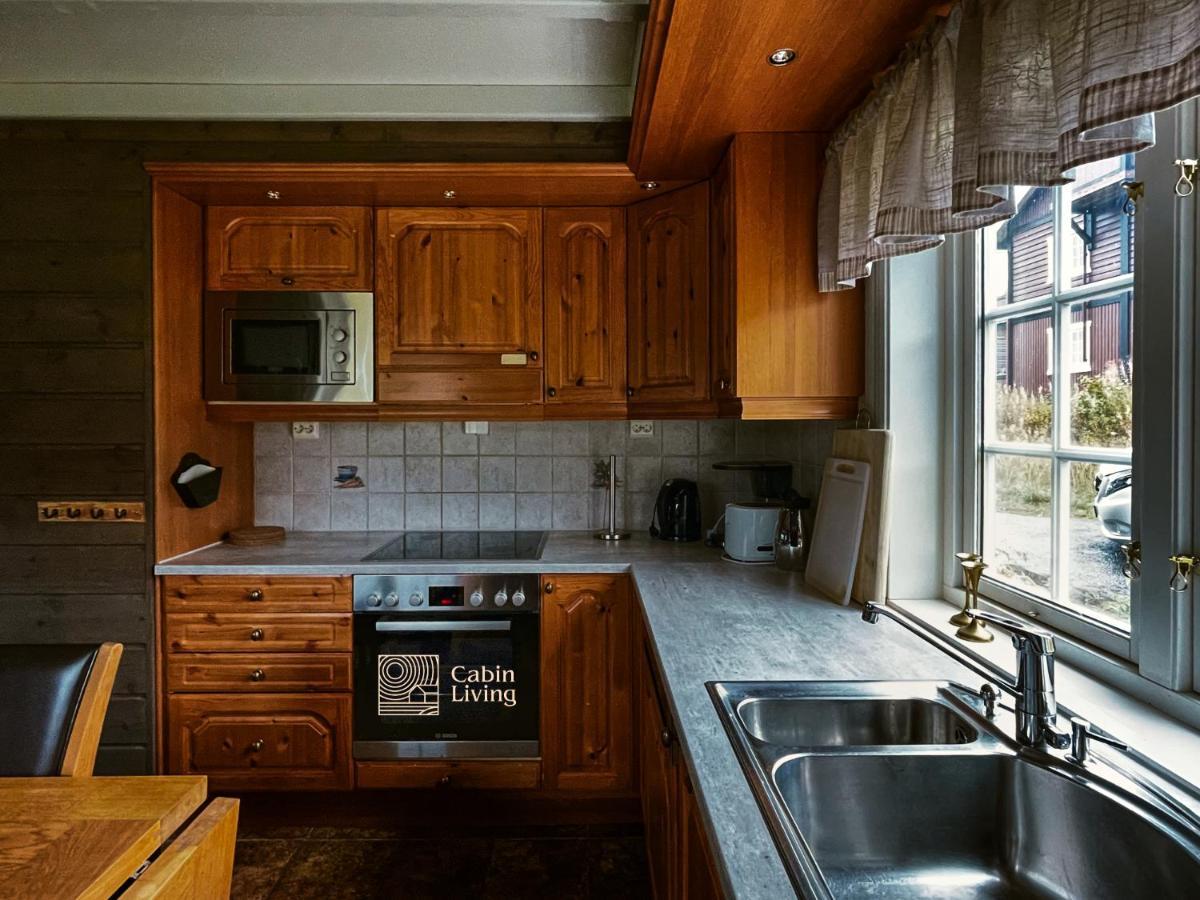 Great Apartment In Trysil, Ski Inout, Wifi, Sauna Dış mekan fotoğraf